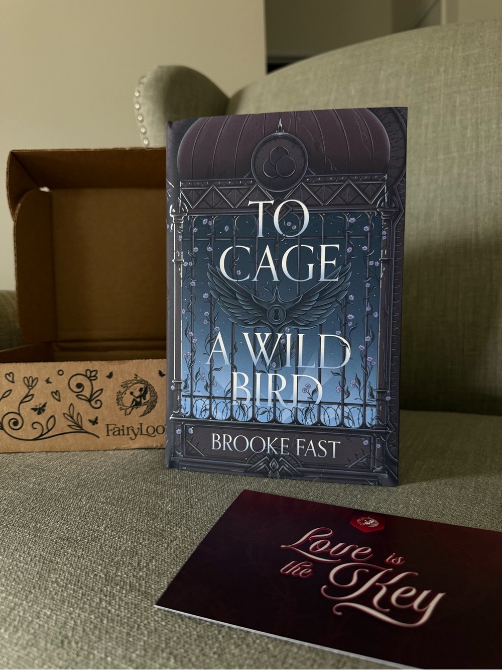 To Cage a Wild Bird by Brooke Fast -BRAND NEW- Fairyloot Edition